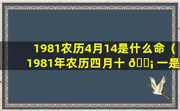 1981农历4月14是什么命（1981年农历四月十 🐡 一是公历几月 🦊 几号）